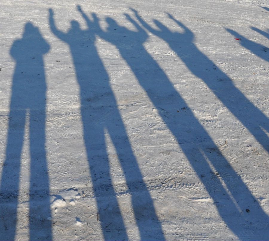 Александр Николаев | Луга