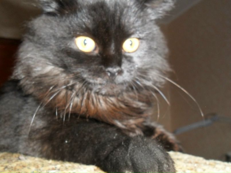 Оксана Щуренко | Москва