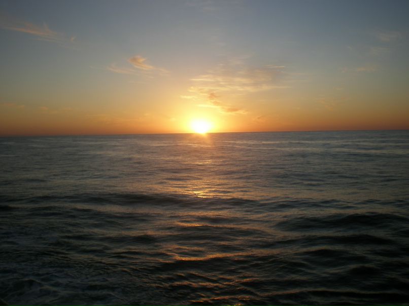 Евгений Сорокин | Одесса