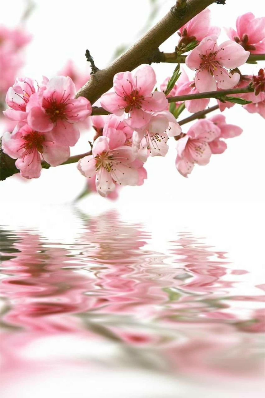 Дарья Петрыкина | Челябинск