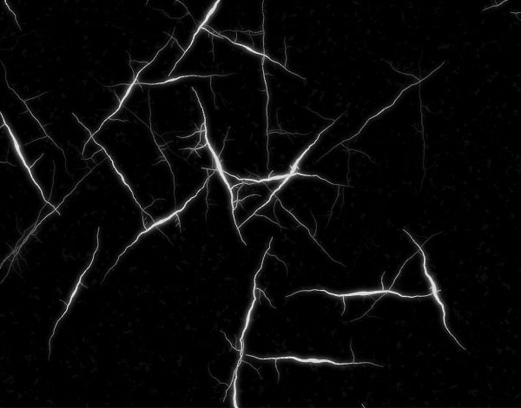 Алексей Кулаков | Санкт-Петербург