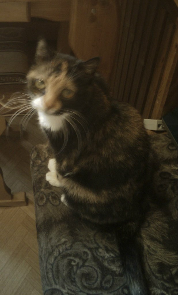 Надежда Малышева | Frankfurt am Main