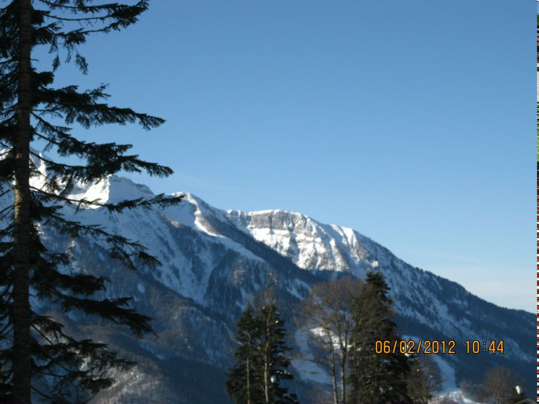 Венера Галлямова-Муртазина 