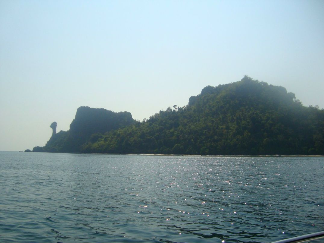 Елена Новак | Петрозаводск