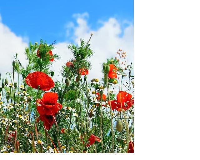 Наталья Черняева | Москва