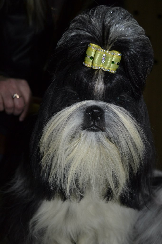 Оля Фартушна | Кривой Рог