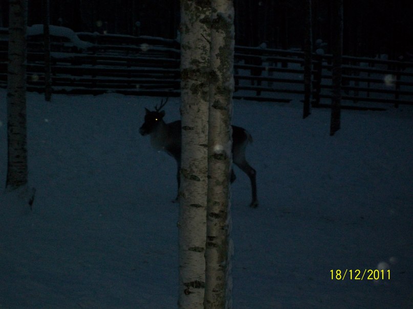 Алина Ескина *без подруги не как* | Костомукша