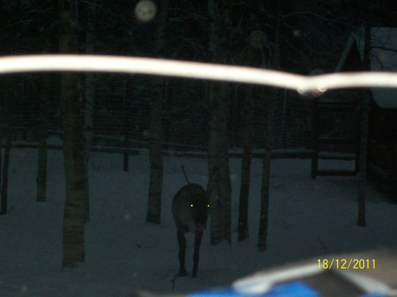 Алина Ескина *без подруги не как* | Костомукша