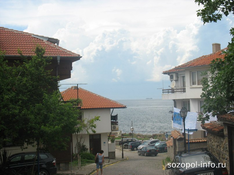 Ольга Димова | Житомир