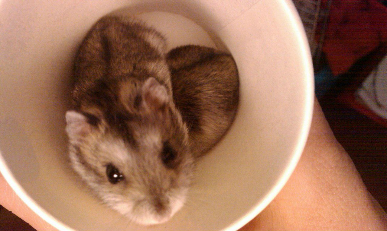 Вероника Малоненкова | Санкт-Петербург