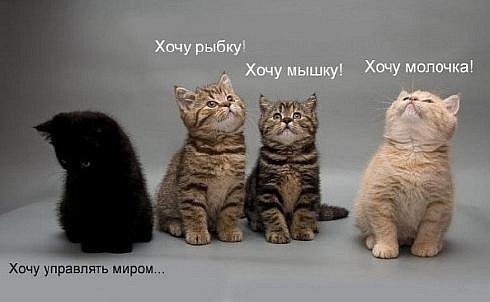 Ксюша Алексеева | Одесса