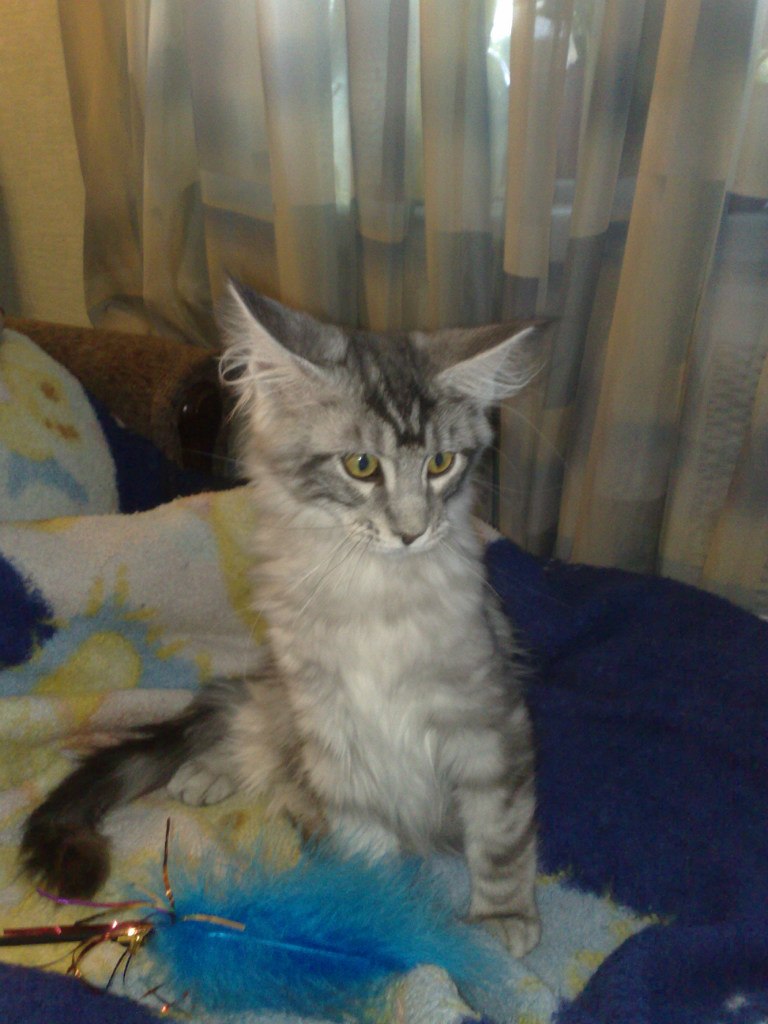 Сергей Бурин | Москва