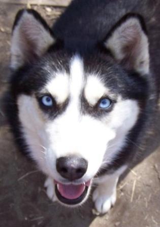 №1, Дарья Невежина №1, Дарья Невежина