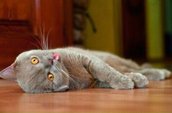 №21, Ксенечка Гладкова, Челябинск №21, Ксенечка Гладкова, Челябинск