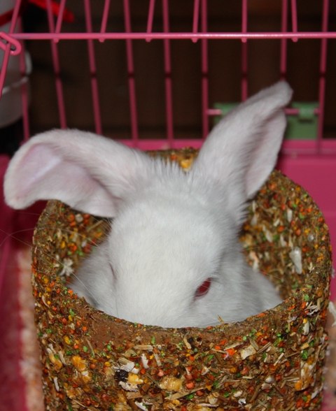 Дина Владыкина Андреевна | Санкт-Петербург