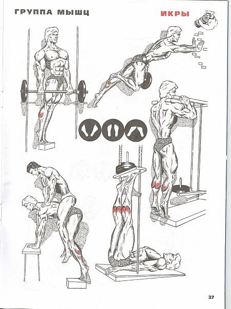 Иван Ургантович AnGrY^$eqr1T | Херсон