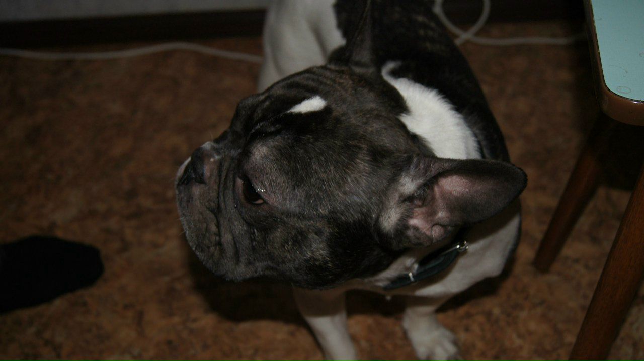 Антон Страшко | Харьков