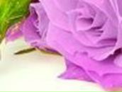 Кристина Петраш | Запорожье