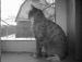 Акадий Укупник фотография #35