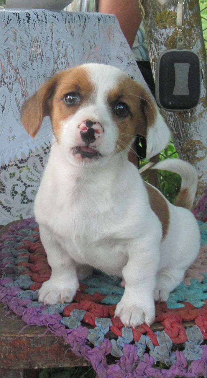 Володимир Боришкевич Ігорович | Львов