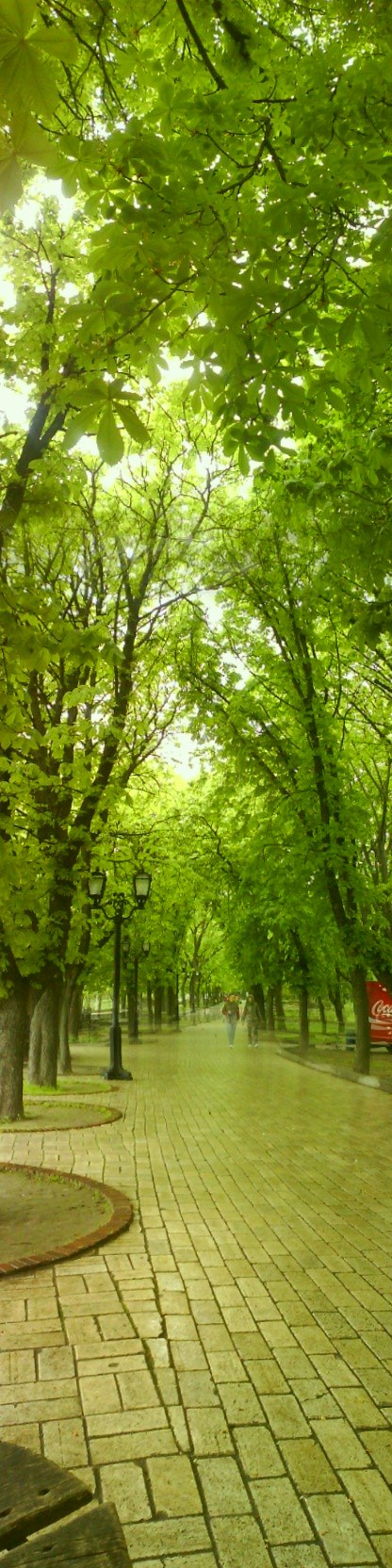 Максим Пилеко | Чернигов