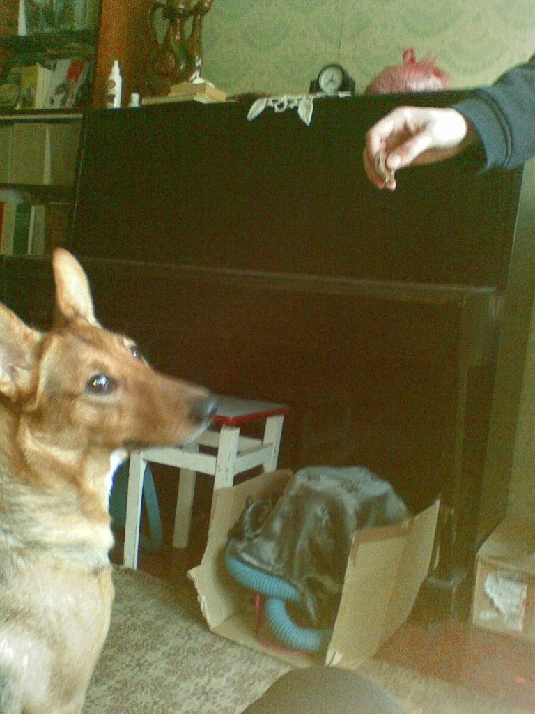 Дина Малашко | Минск