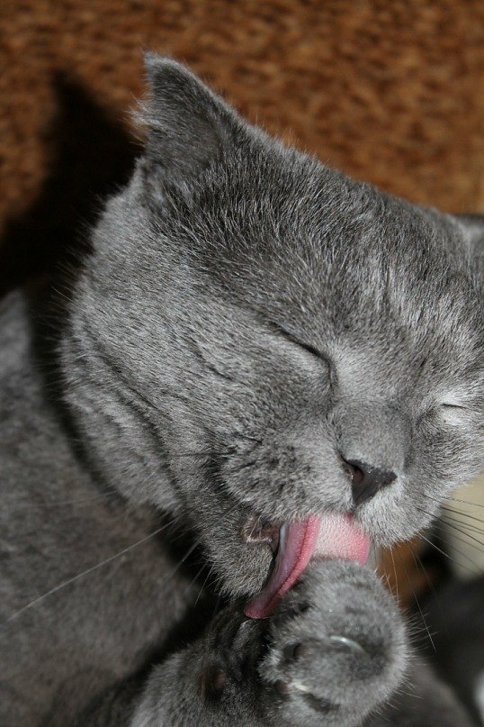 Вова Вагнер | Москва