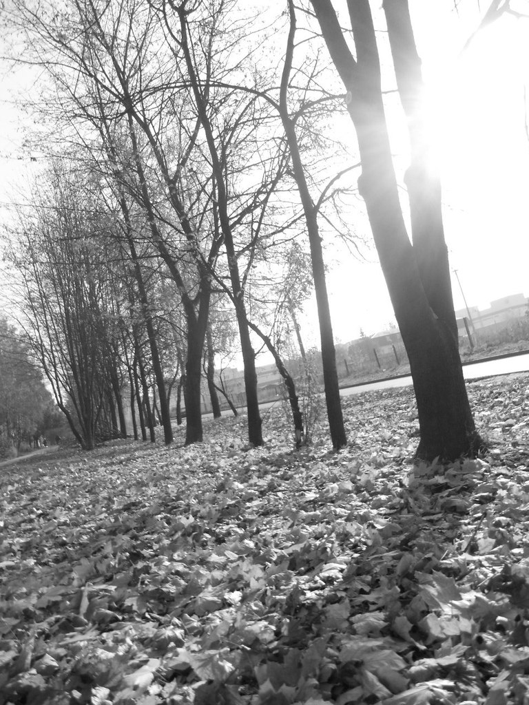 Юлия Кушнарева | Курск