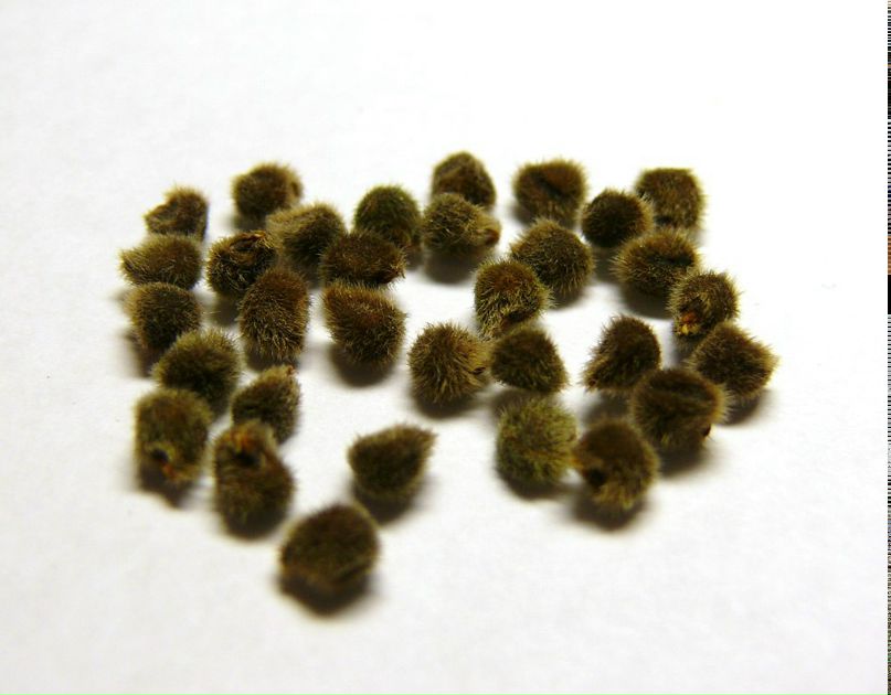 Денис Чернышов | Москва