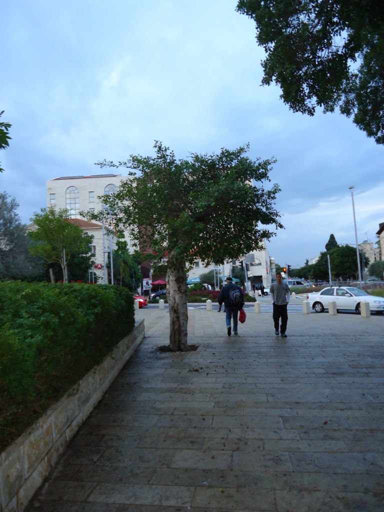 Rustam Veliyev | Киев