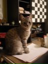 Фотография Аня Коява