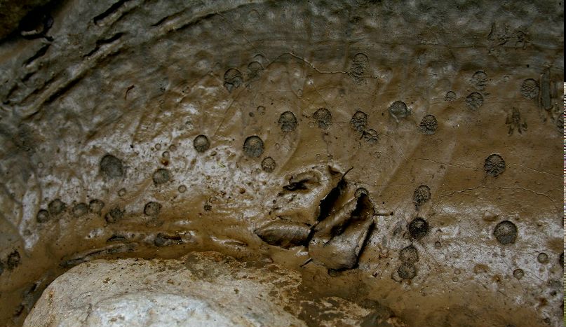 Irina Novik | Санкт-Петербург