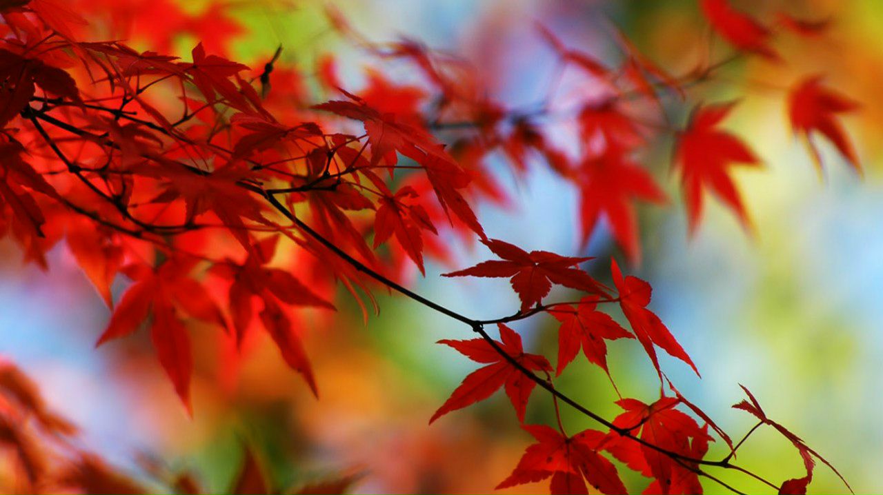 Kingofm Kingofm | Краснодар