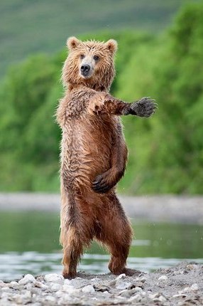 Илья Гошев | Санкт-Петербург