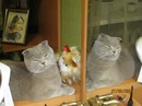 Фотография Сухоженко Павла