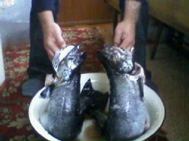 №24, Виталий Титов, 26.08, Кондопога №24, Виталий Титов, 26.08, Кондопога