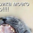 №10, Дина Гималединова №10, Дина Гималединова