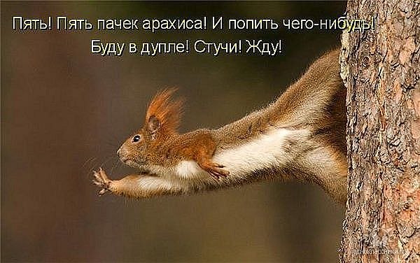 Светлана Иванова | Самара