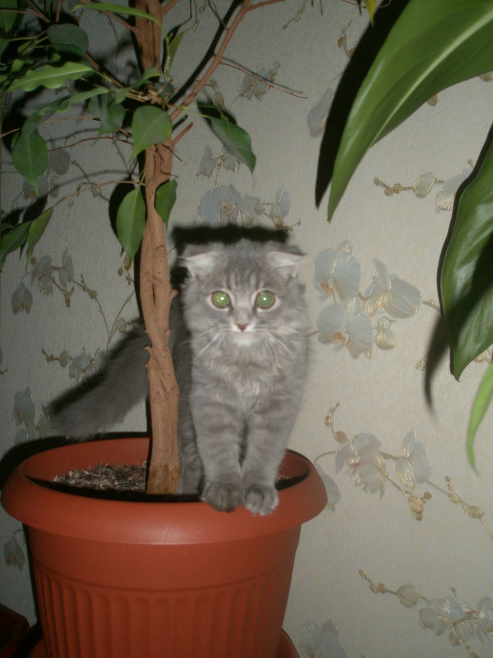 Екатерина Измайлова | Москва