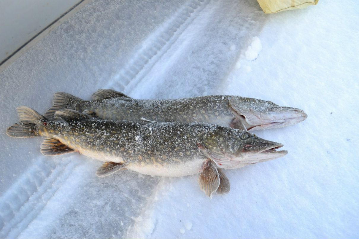 Михаил Ушаков | Санкт-Петербург