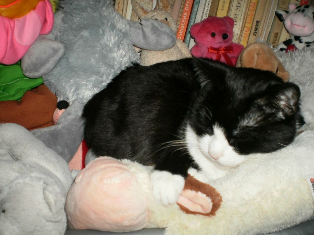 Оксана Семёнова [Аза] | 