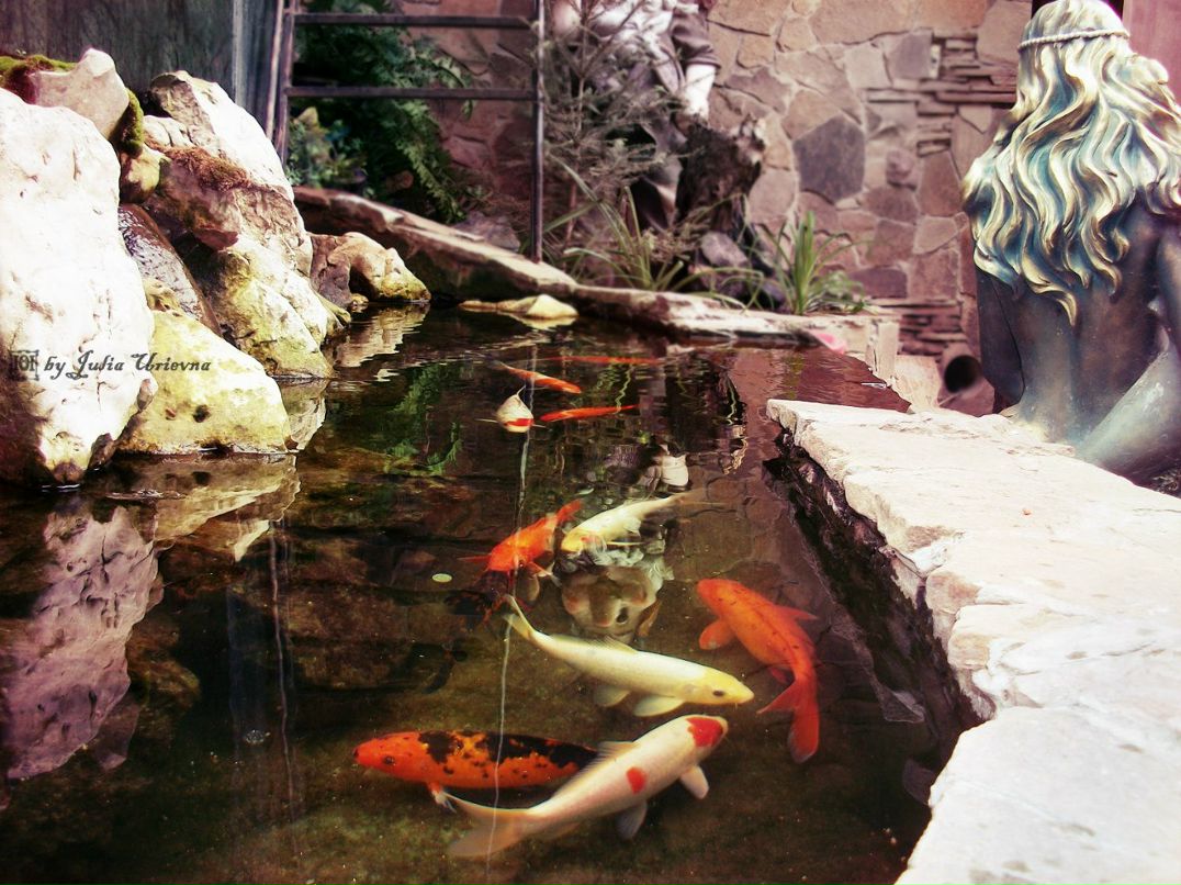 Юлия Юрьевна ˜”*°•ВрЕдИнА•°*”˜ | Carrick-on-Shannon