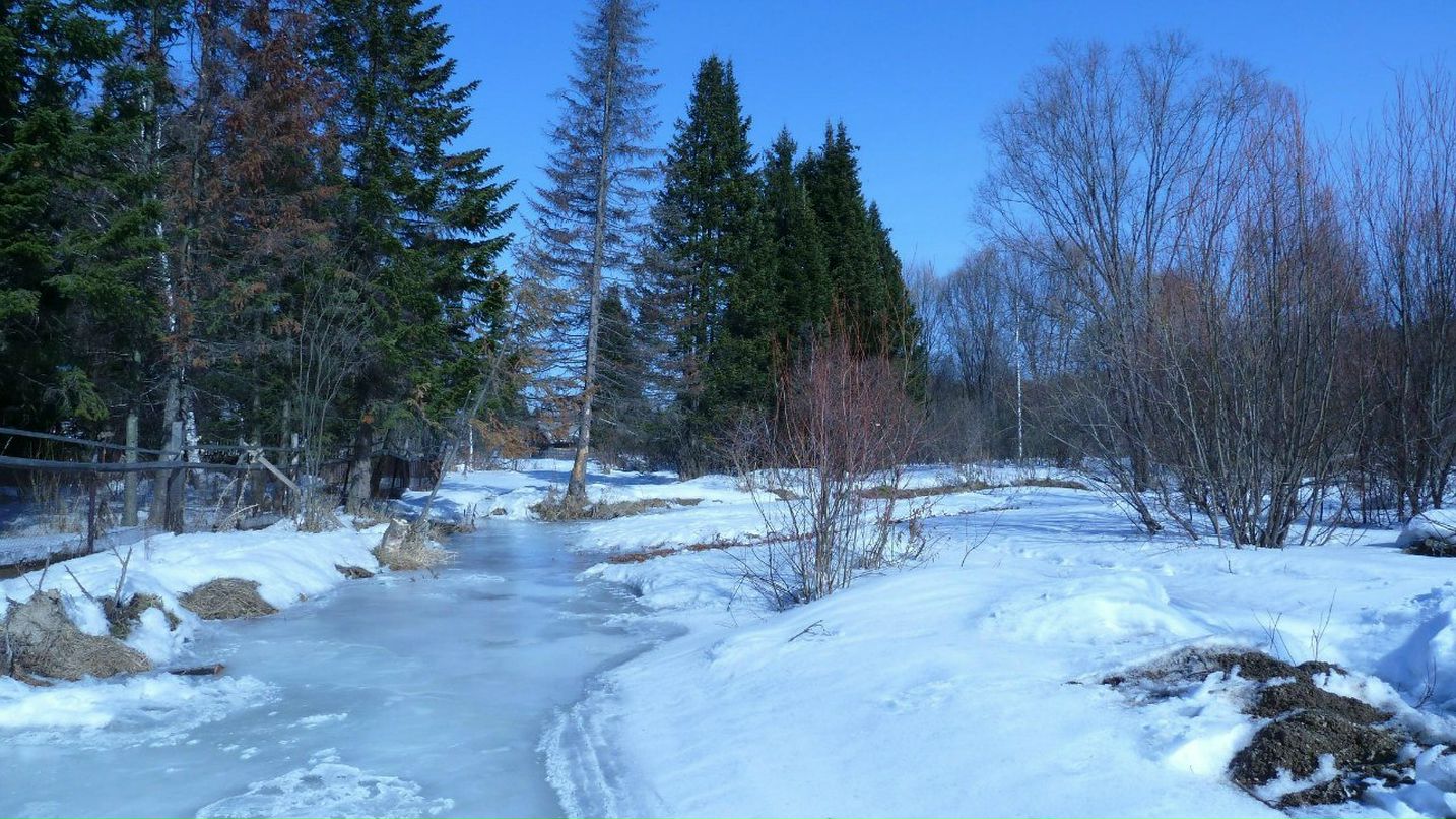 Тарас Вишняк | Новокузнецк