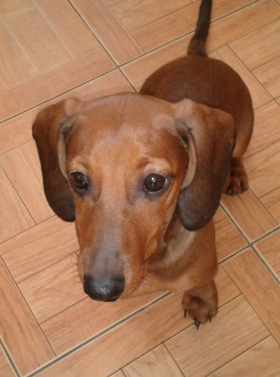 Анюта Бородулина | Санкт-Петербург