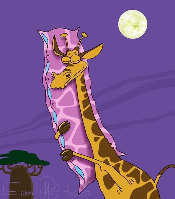 Дмитрий Соколов | Харьков