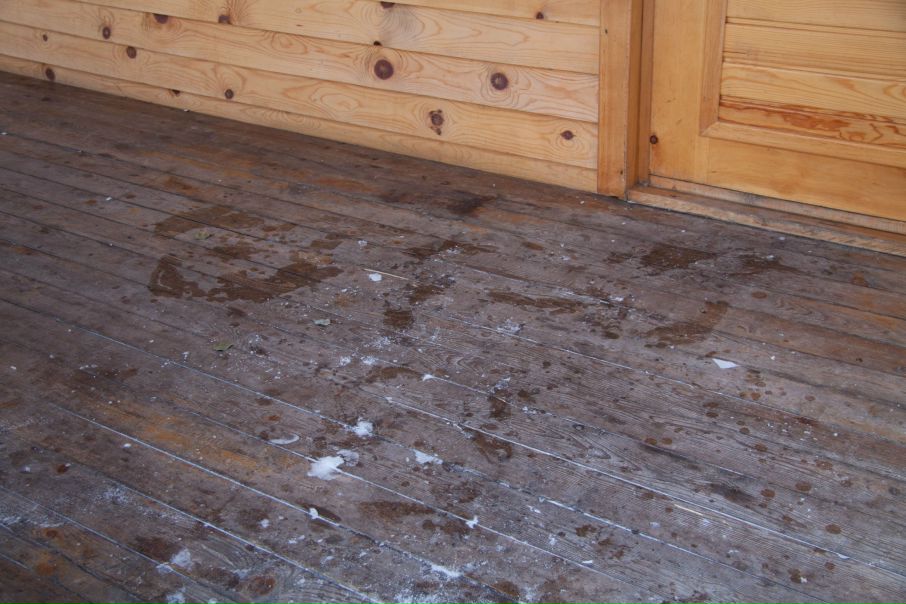 №50, Дмитрий Соломкин, 43 года, Абакан №50, Дмитрий Соломкин, 43 года, Абакан