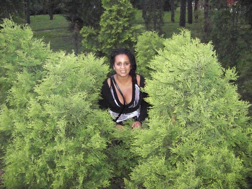 Элла Тимченко | Киев