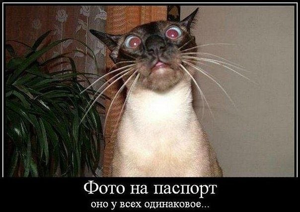 Наталья Найденова | Зеленоград