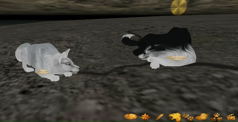 Ksenia Makhanova | Санкт-Петербург