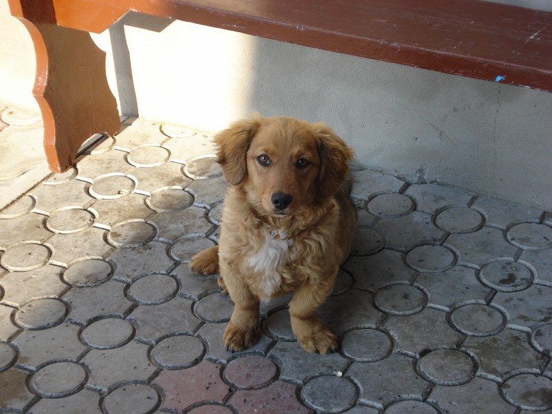 Янчик Угрин | Тернополь